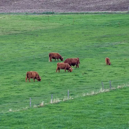 Apartment Sternenhimmel I Aufzug I Stellplatz I Modern Schwarzenberg/Erzgebirge