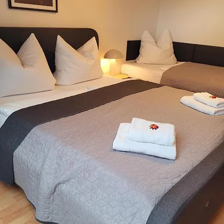 Sternenhimmel I Aufzug I Stellplatz I Modern Apartment Schwarzenberg (Saxony)
